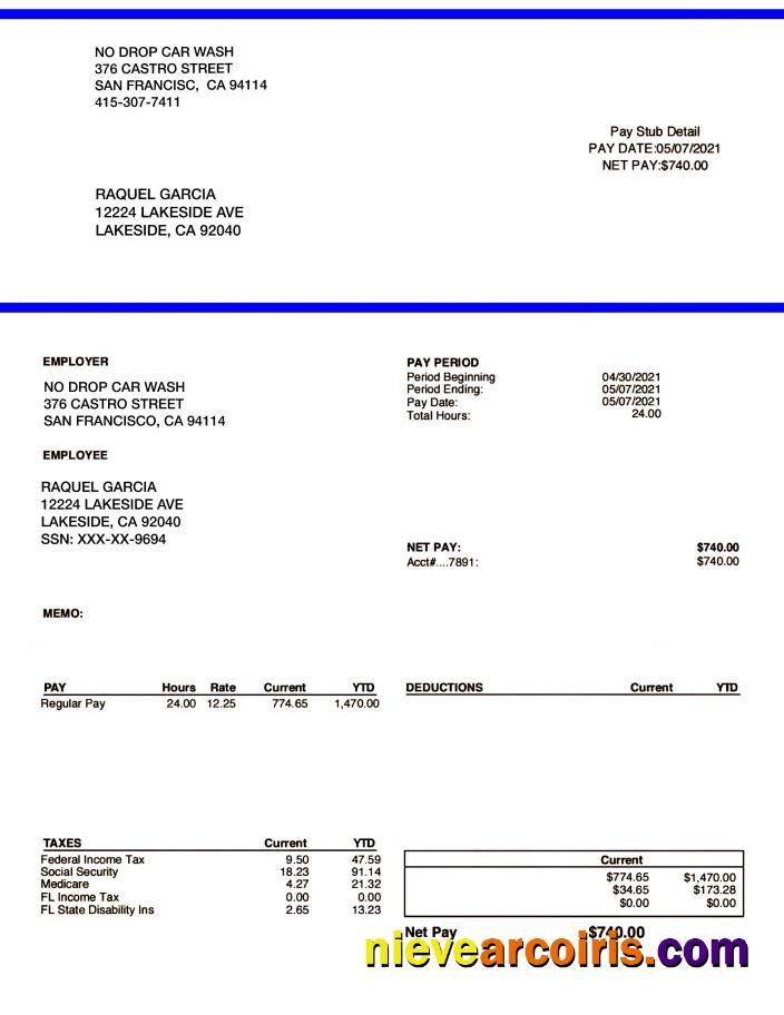 NO DROP CAR WASH Pay Stub In PDF And Word Formats Template