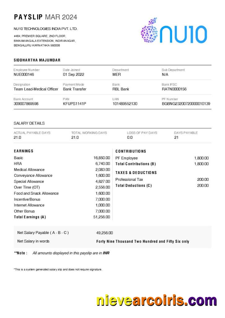 Premium NU10 Technologies India Payslip Template In Word And PDF Formats.pdf, 1