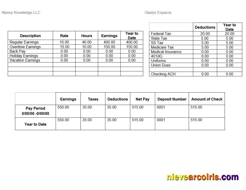 Realistic Nanny Knowledge LLC Pay Stub Word And PDF Template