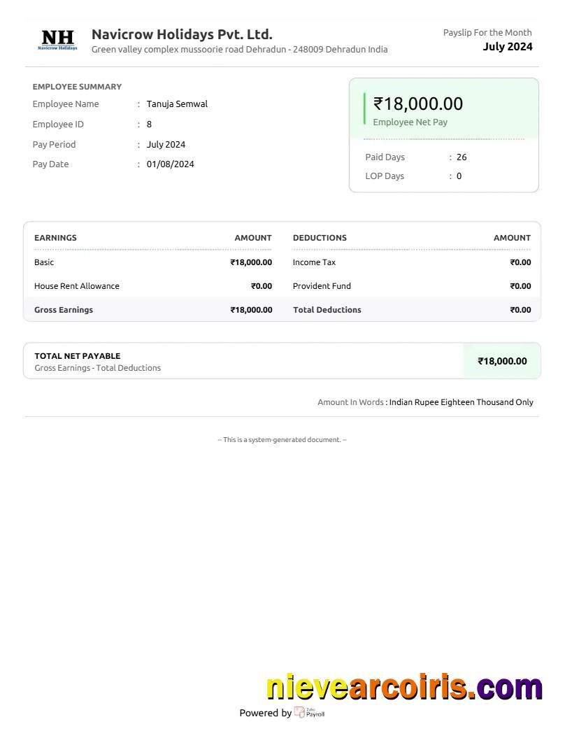 Editable Navicrow Holidays Pvt. Ltd. Earnings Summary Template In Word And PDF Formats.pdf, 1