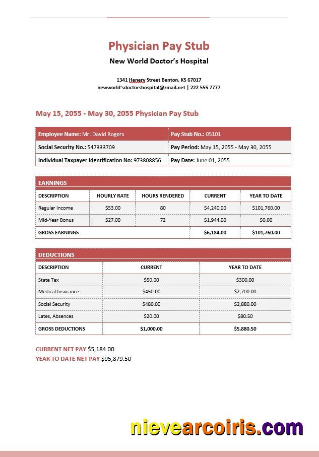 New World Doctor’s Hospital Physician Pay Stub In PDf And Word Formats Preview