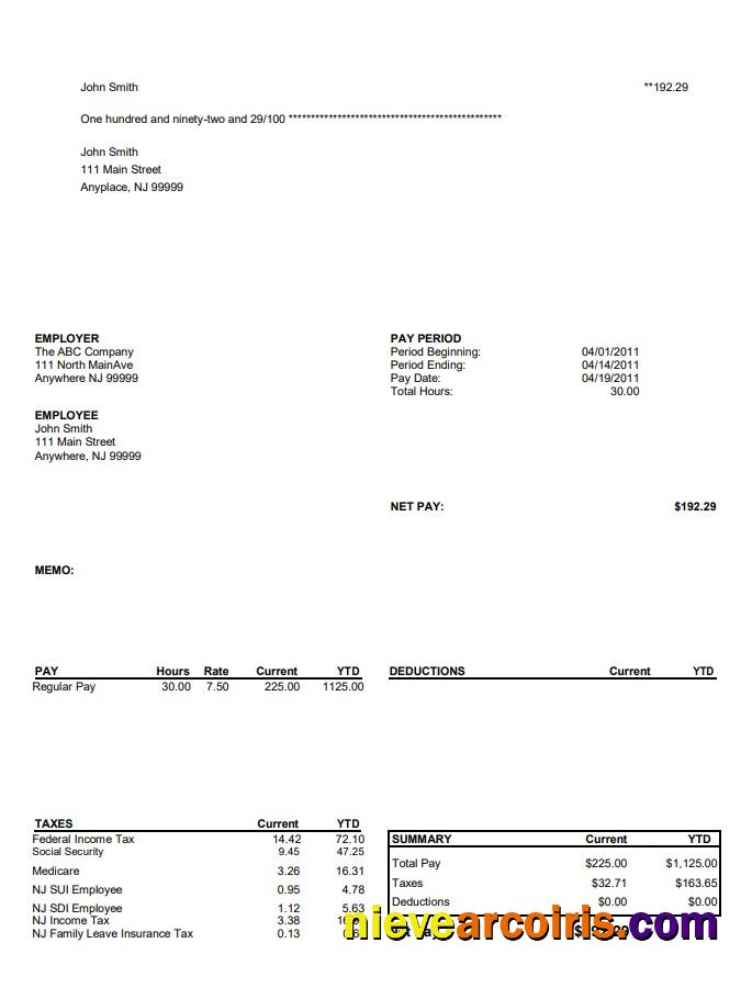 Premium North Main Avenue Pay Stub Template