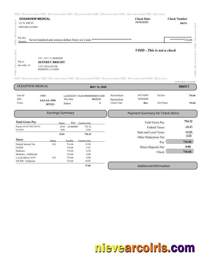 Oceanview Medical Paystub Photolook