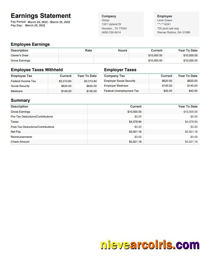 Ontop Company Earninngs Statement In PDF And Words Preview