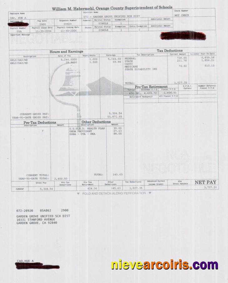 Orange County Superintendent Of Schools Pay Stub In PDF And Word Format Preview
