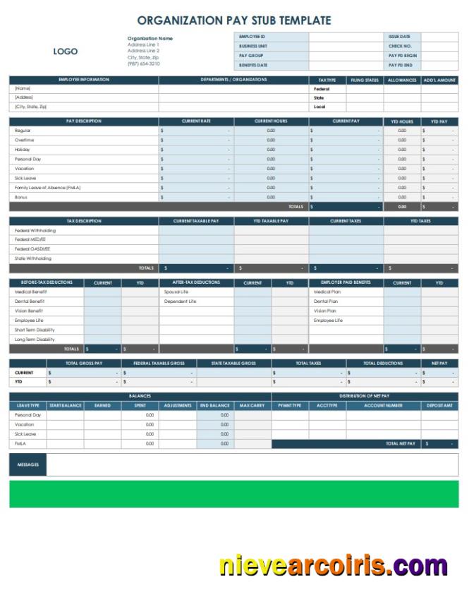 Editable Organization Pay Stub Template