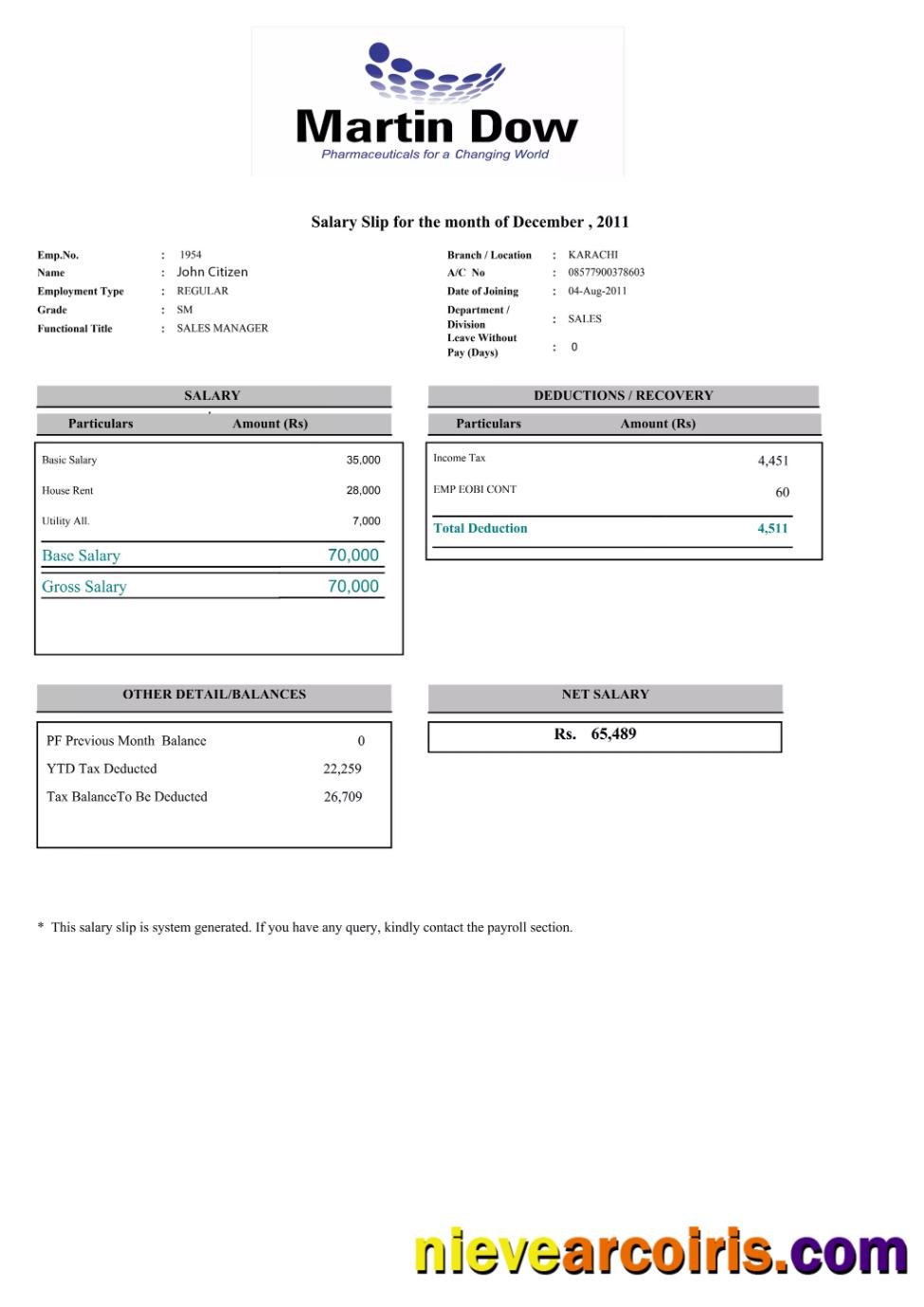 Professional PAKISTAN MARTIN Dow Paystlip Template In Word And PDF Formats
