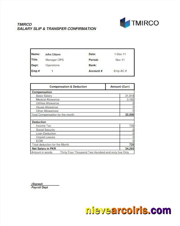 PAKISTAN TMIRCO Company Earning Statemetn In Word And PDF Formats Preview