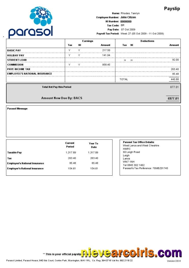 PARASOL Limited Paystub In Word And PDF Formats Preview