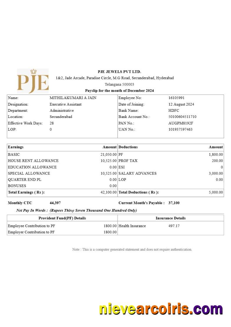 Premium PJE Jewels Payslip Template In Word And PDF Formats.pdf, 1