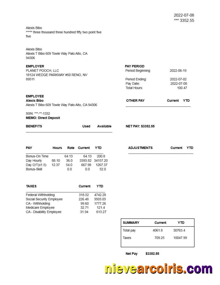Realistic PLANET POOCH, LLC Earnings Statement Template In Word And PDF Formats.pdf, 1