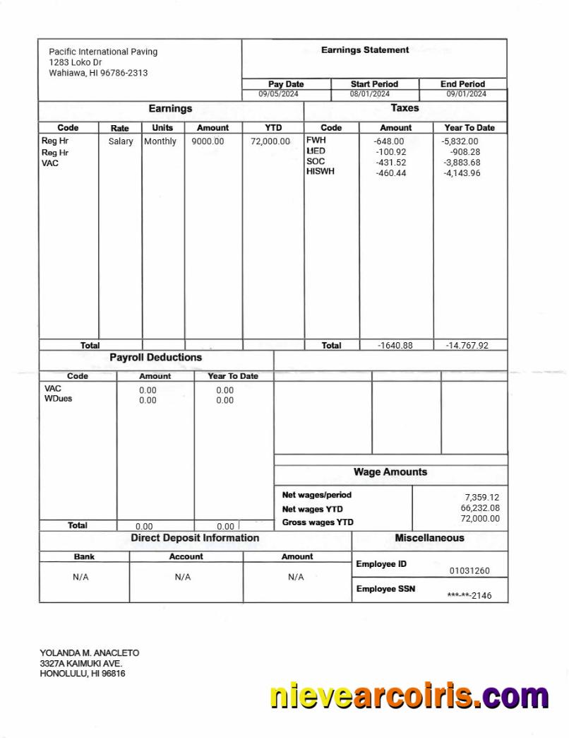 Professional Pacific International Paving Earnings Statement Template In Word And PDF Formats.pdf, 1
