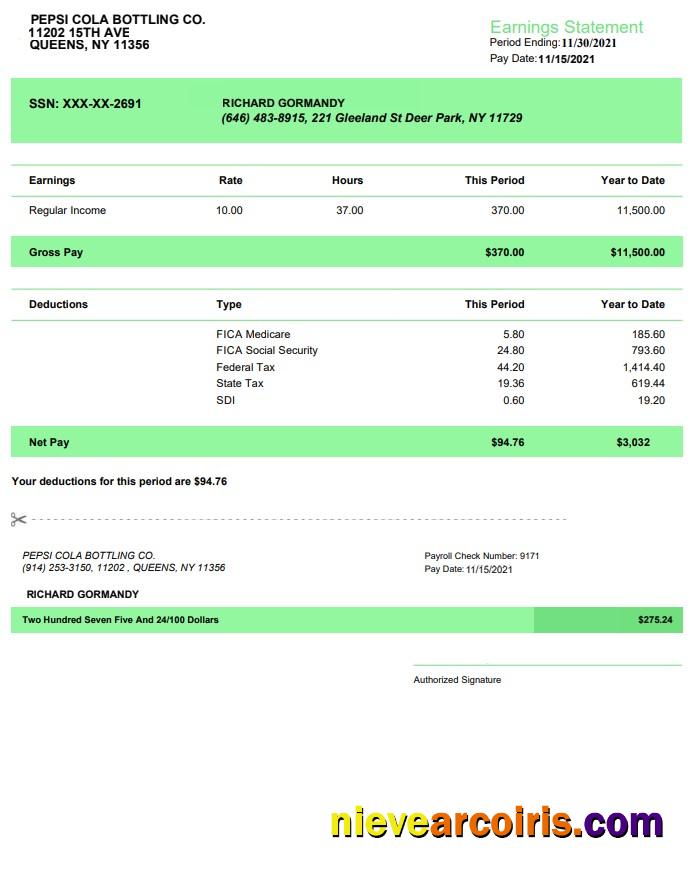 Papsi Cola Bottling Co Earnings Statement In PDf And Word Formats Preview