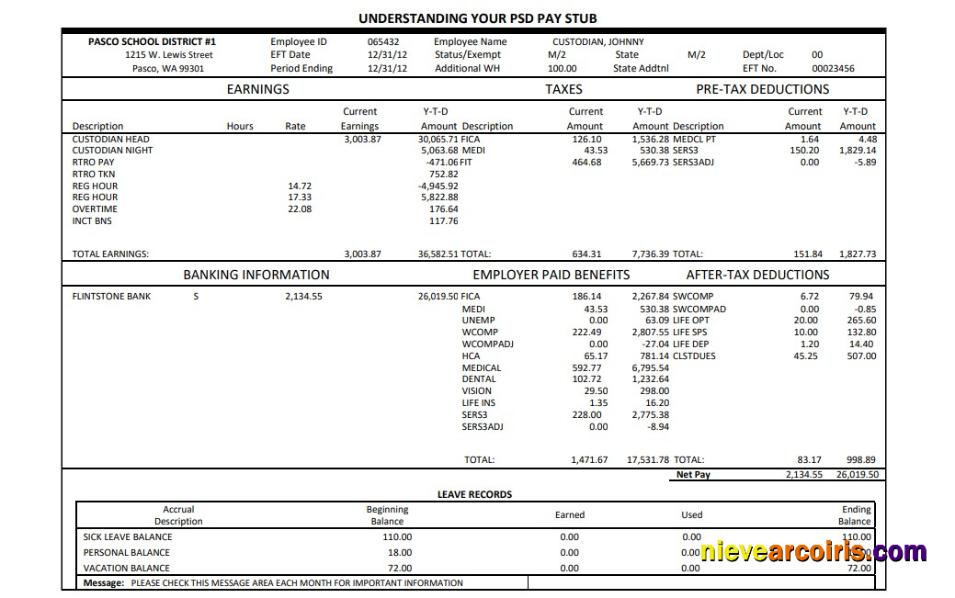Professional Pasco School District Pay Stub Word And PDF Template