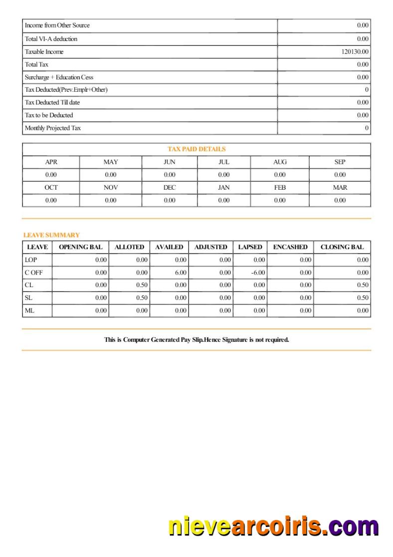 Professional Patil Rail Infrastructure Payslip Template In Word And PDF Formats.pdf, 2