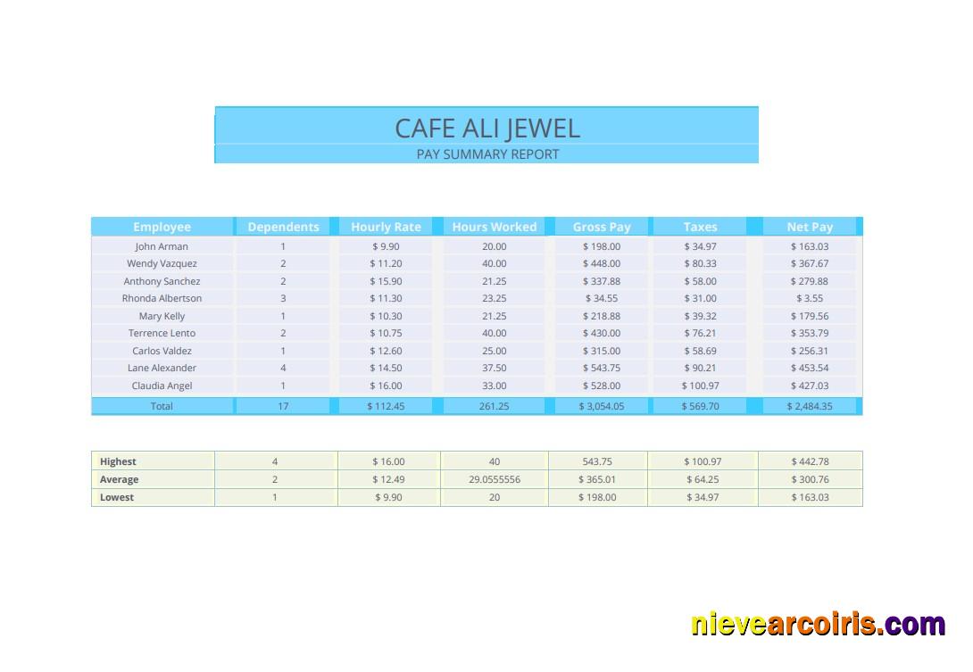 Pay Summary Report Pay Stub Sample