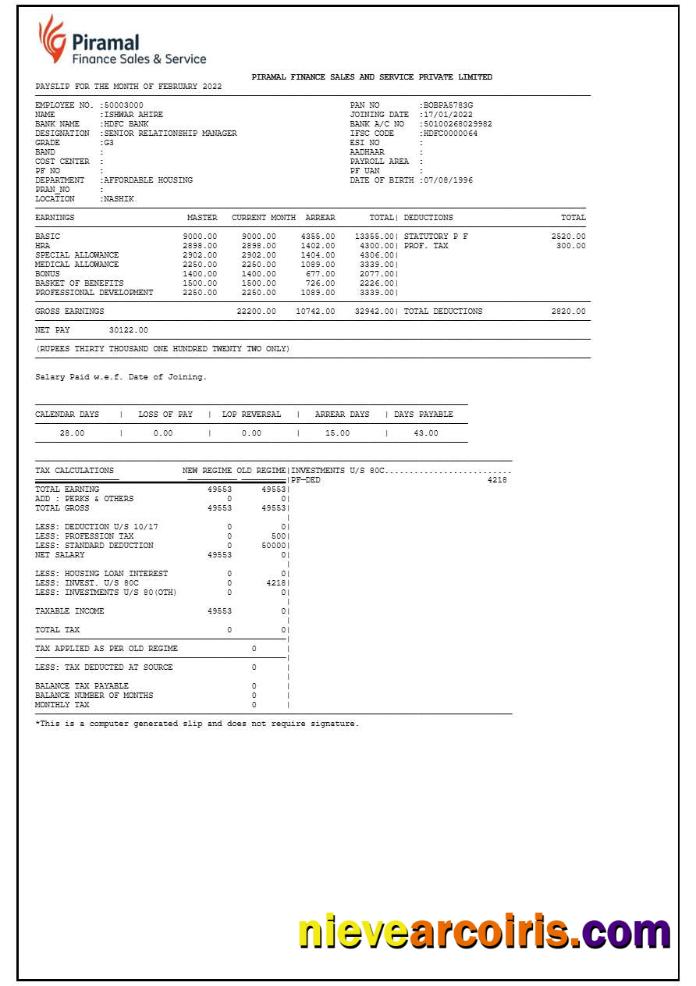 Professional Piramal Financial Services Payslip Template In Word And PDF Formats.pdf, 1