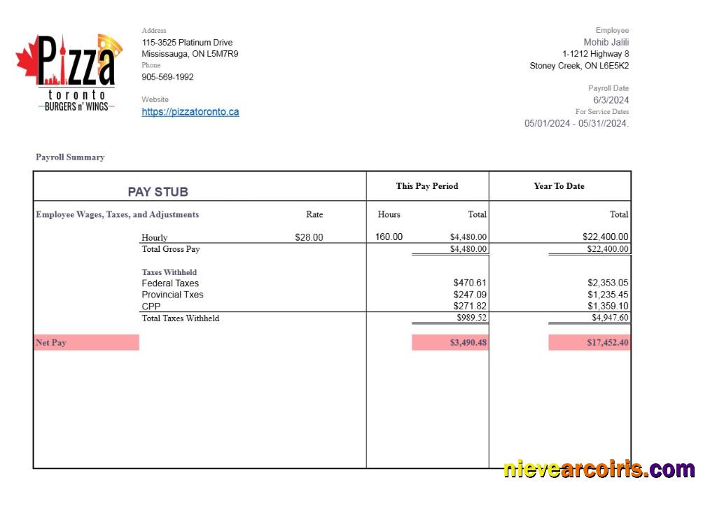 Professional Pizza Toronto Pay Stub Template In Word And PDF Formats.pdf, 1
