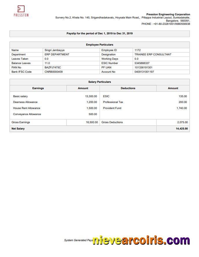Presston Engineering Corporation Pay Stub In PDF And Word Format Sample