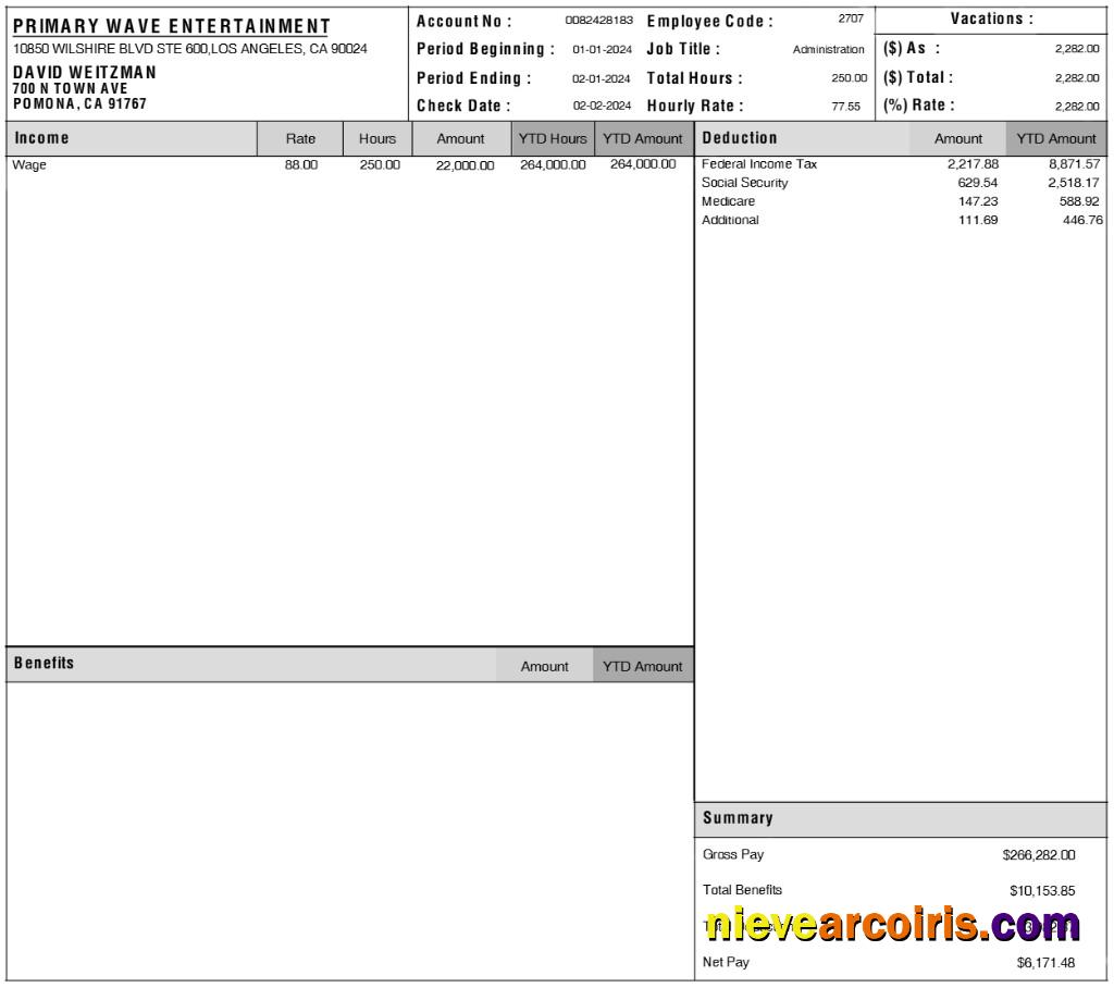 Professional Primary Wave Entertainment Pay Statement Template In Word And PDF Formats.pdf, 1
