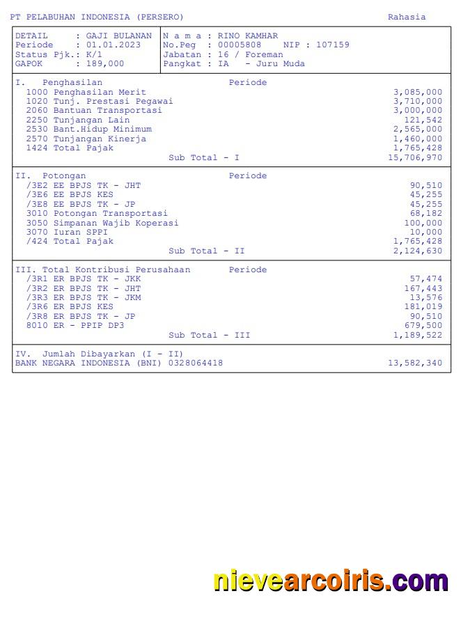 Pt Pelabuhan Indonesia (persero) Pay Stub In PDF And Word Formats Photolook