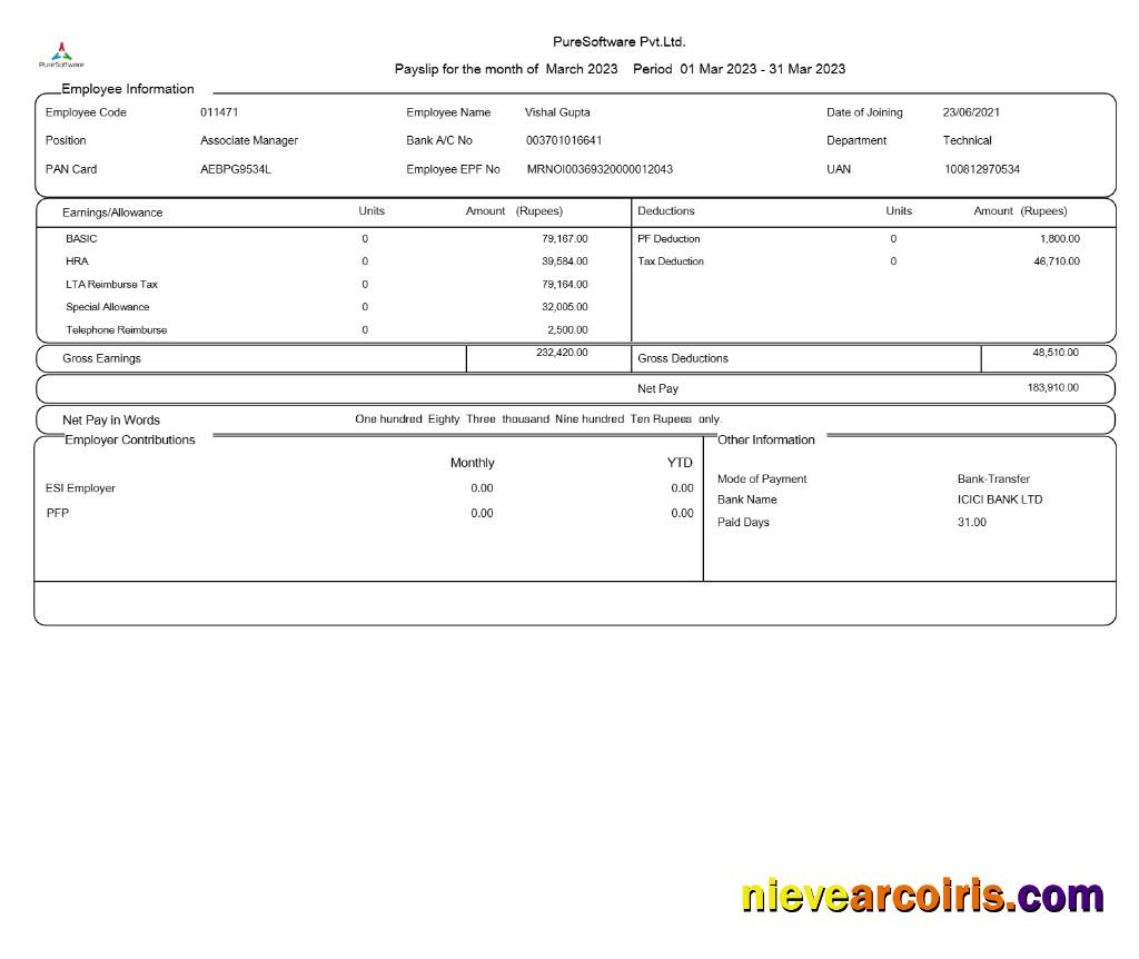 Realistic PureSoftware Payslip Template In Word And PDF Formats.pdf, 1