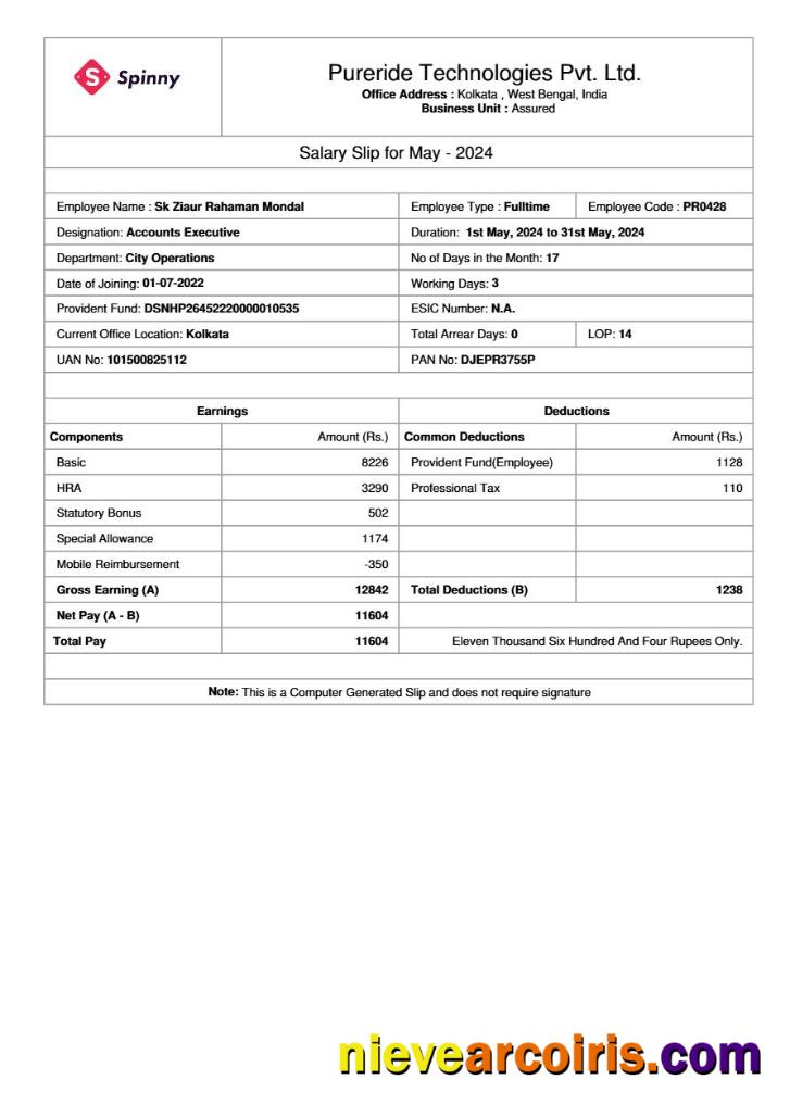 Premium Pureride Technologies Salary Slip Template In Word And PDF Formats.pdf, 1