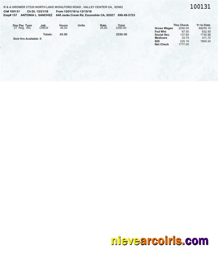 R & A Grower Pay Stub In PDF And Word Formats Preview