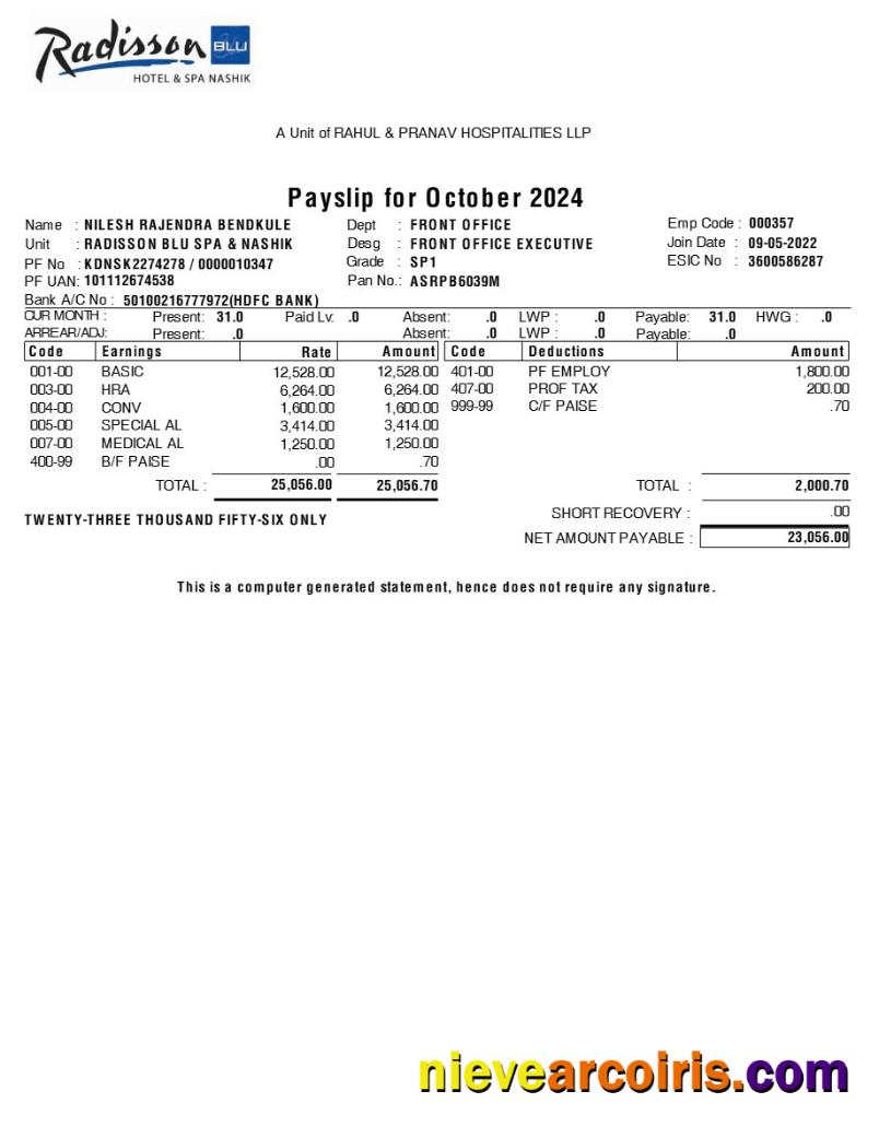 Realistic Radisson Blu Hotel & Spa Payslip Template In Word And PDF Formats.pdf, 1