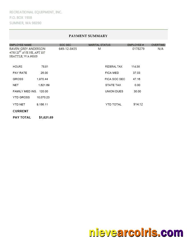 Recreational Equipment LLC Pay Stub In PDF And WORD Format Sample
