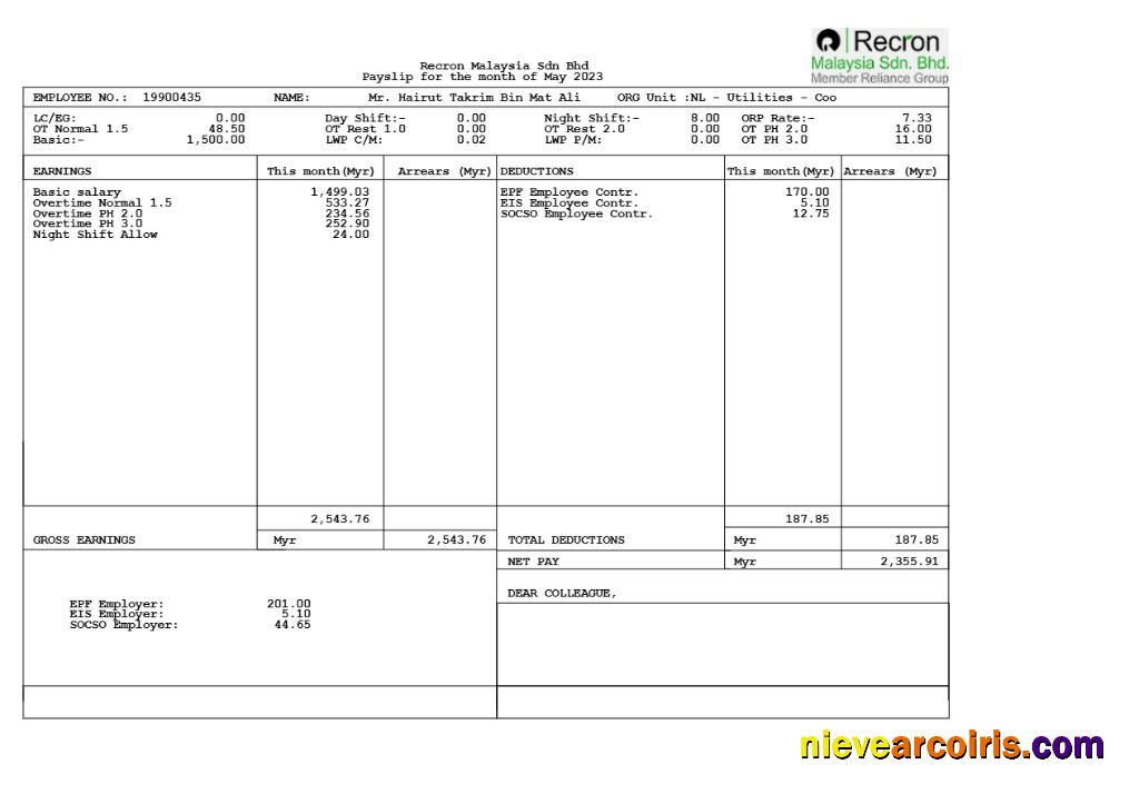 Professional Recron Malaysia Payslip Template In Word And PDF Formats.pdf, 1