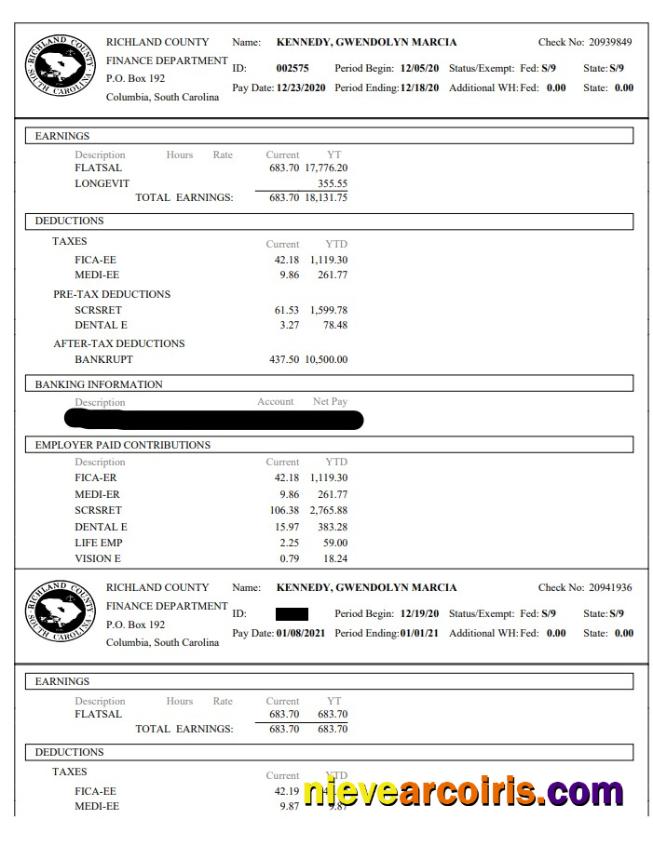 Richland County Finance Department Paystub Photolook