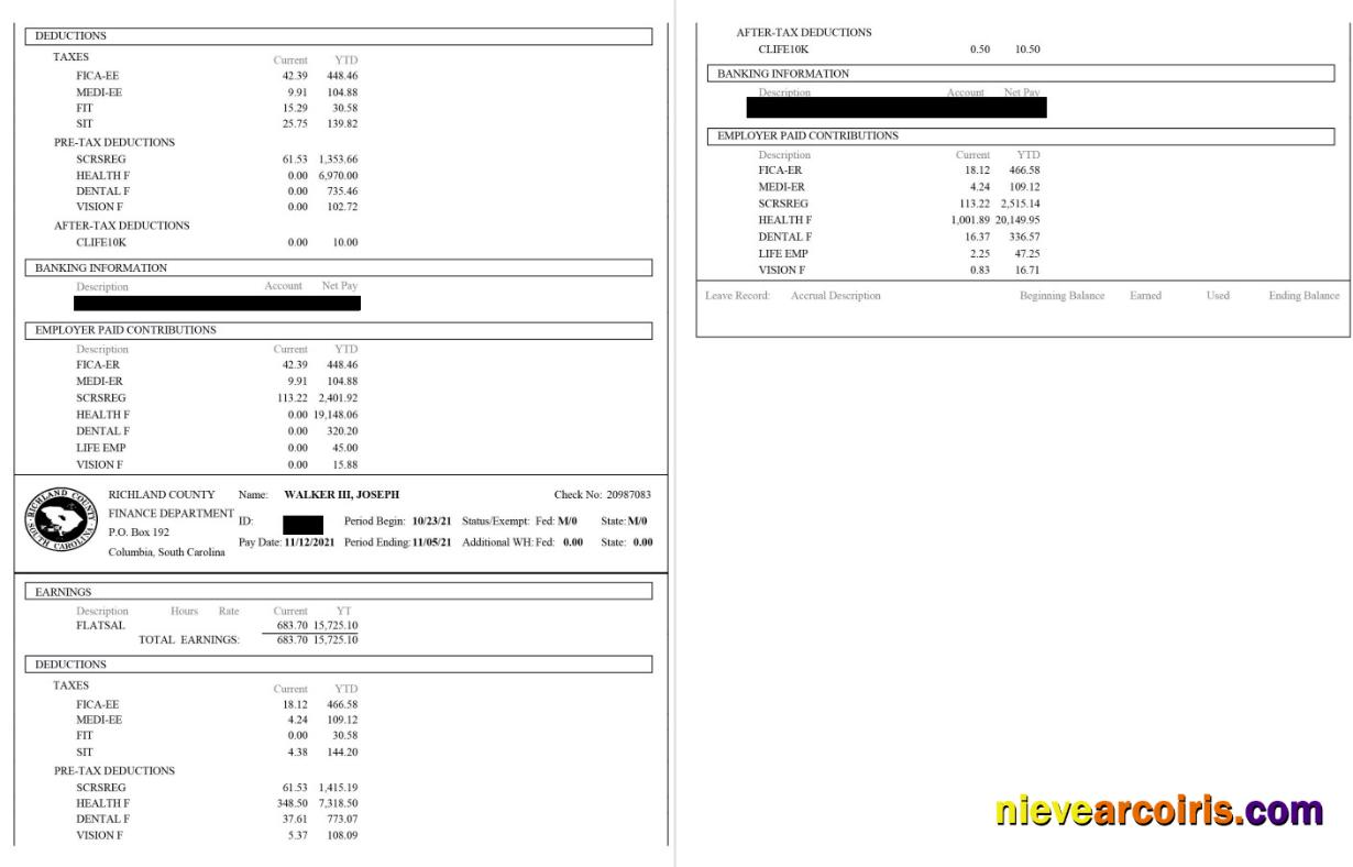 Richland County Paystub Sample