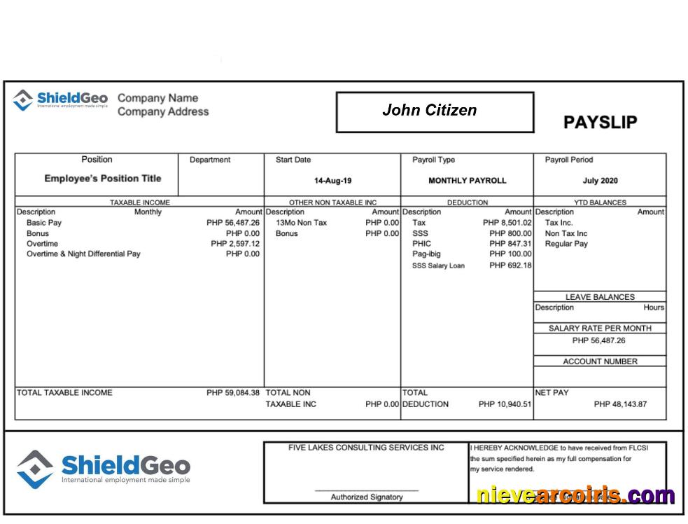 SHIELDGEO Payslip In Word And PDF Formats Photolook