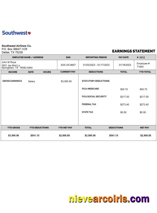 SOUTHWEST AIRLINES CO Earnings Statement In PDf And Word Formats Sample