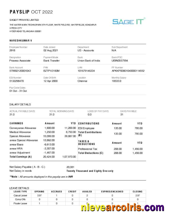Premium SageIT Payslip Template In Word And PDF Formats.pdf, 1
