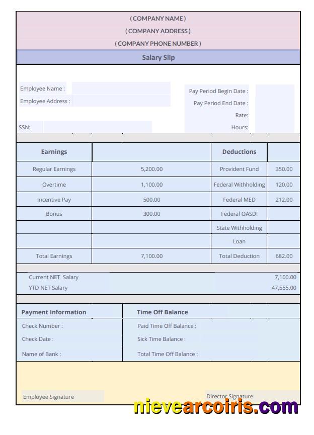 Realistic Salary Slip Word And PDF Template