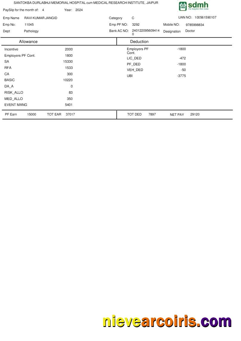 Realistic Santokba Durlabhji Memorial Hospital Payslip Template In Word And PDF Formats.pdf, 1