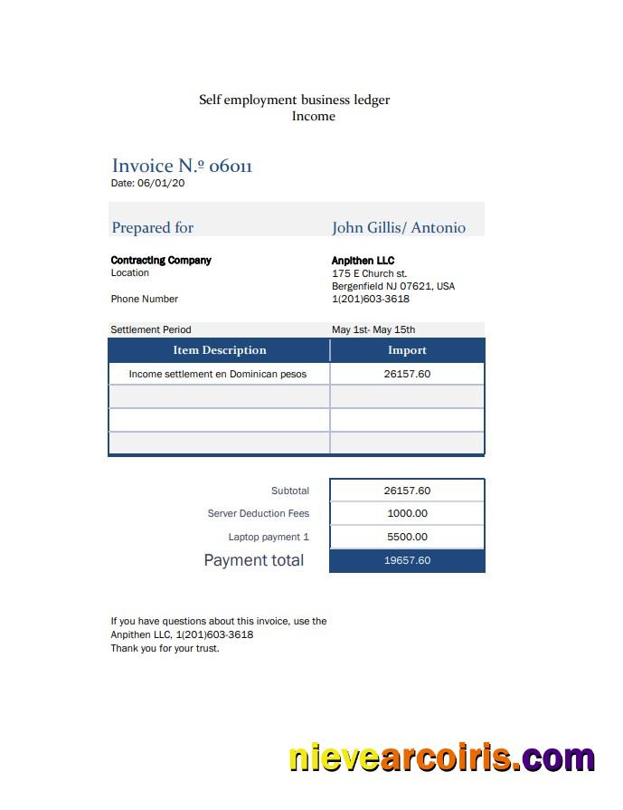 Self Employment Pay Stub Preview