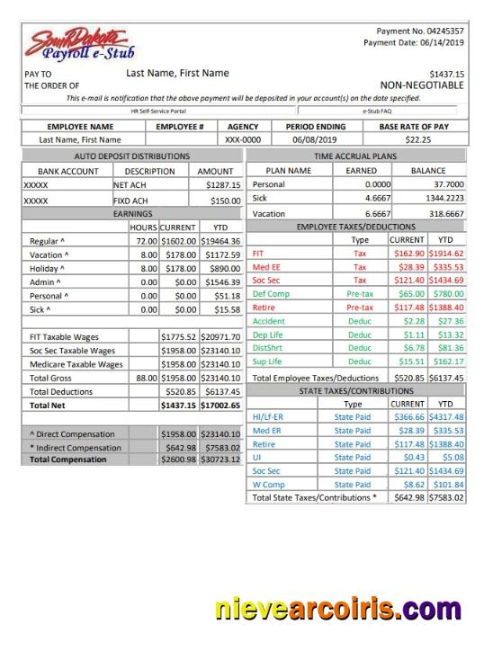 Professional South Dakota Payroll E Stub Word And PDF Template