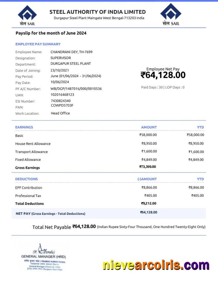 Professional Steel Authority Of India Payslip Template In Word And PDF Formats.pdf, 1