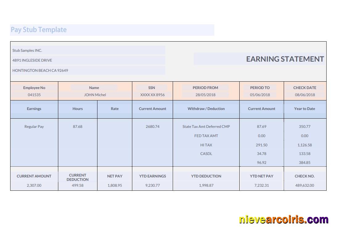 Professional Stub Samples INC Earnings Statement Template