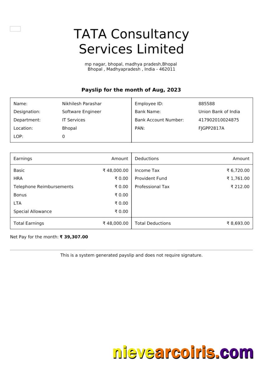 Editable TATA Consultancy Services Payslip Template In Word And PDF Formats, Version 2.pdf, 1
