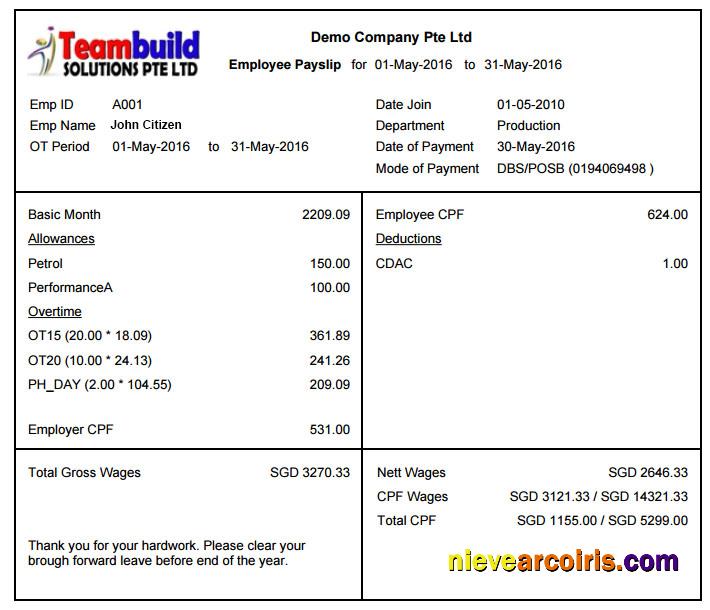 TEAMBUILD Solutions Ptr Ltd Payslip In Word And PDF Formats Photolook