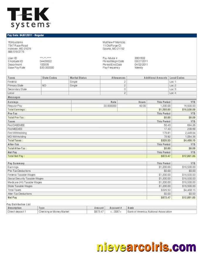 Realistic TEKsystems Pay Stub Template In Word And PDF Formats.pdf, 2