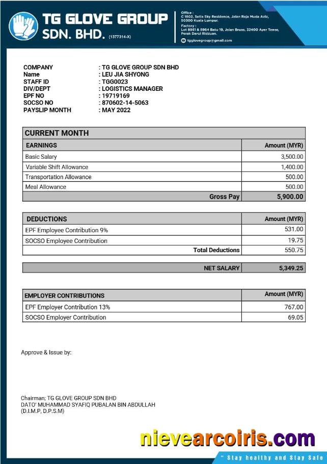 Professional TG Glove Group Manufacture Payslip Template In Word And PDF Formats.pdf, 1