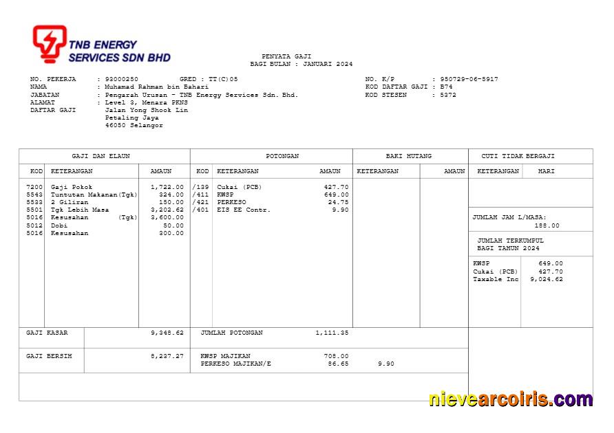 Realistic TNB Energy Services Payslip Template In Word And PDF Formats.pdf, 1