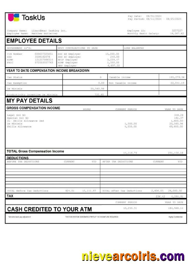 Professional TaskUs LizardBear Tasking Earnings Template In Word And PDF Formats.pdf, 2