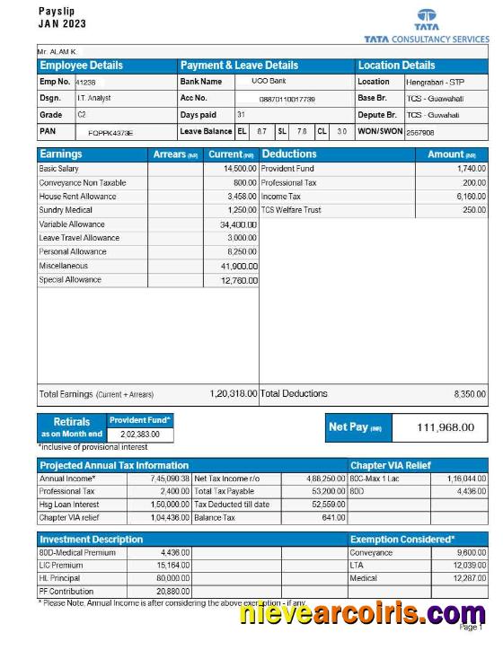 Professional Tata Consultancy Services Payslip Template In Word And PDF Formats.pdf, 1