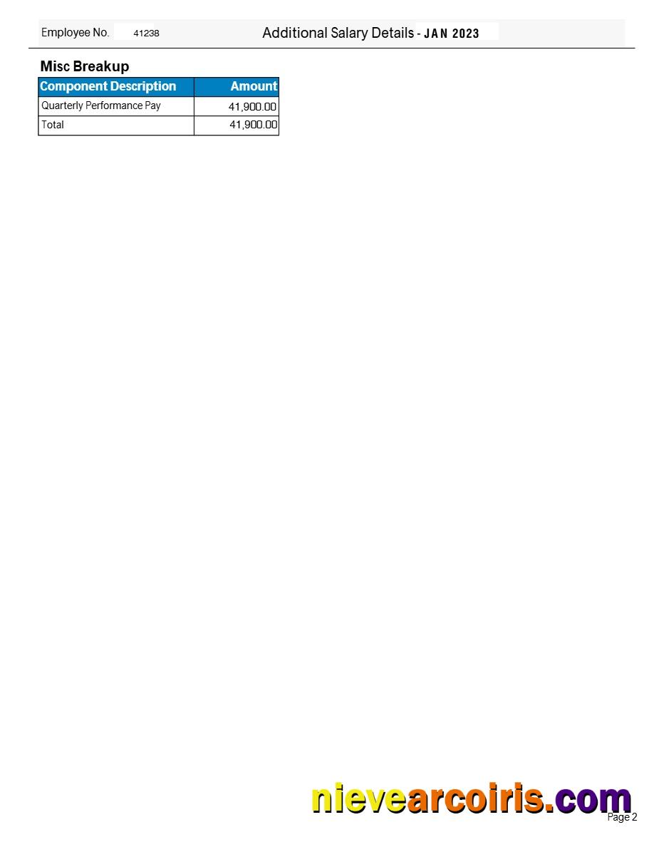 Editable Tata Consultancy Services Payslip Template In Word And PDF Formats.pdf, 2